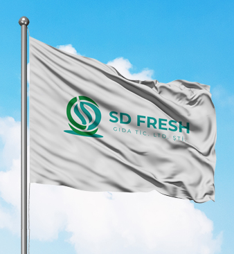 SD Fresh