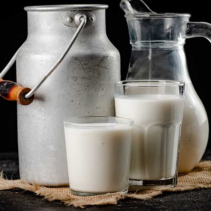 Süt ve Süt Ürünleri